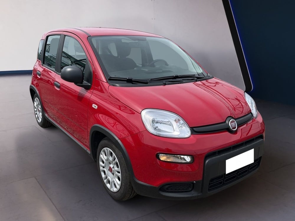 Fiat Panda usata a Torino (3)