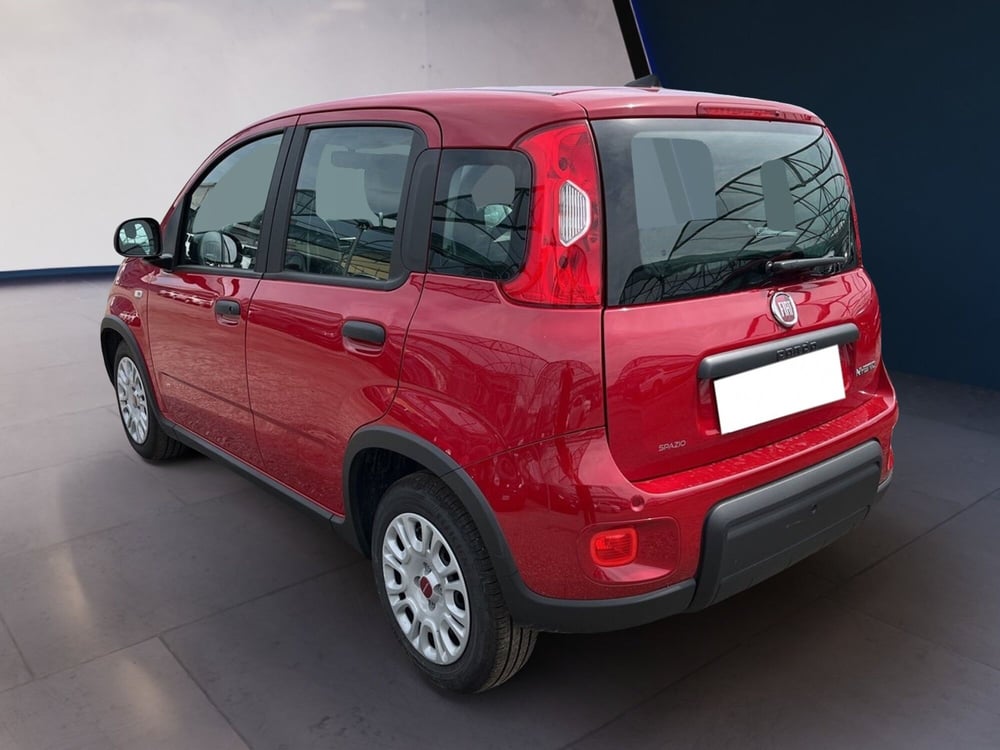 Fiat Panda usata a Torino (5)