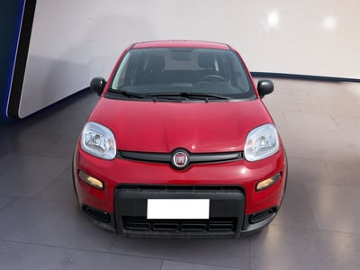 Fiat Panda 1.0 firefly hybrid s&amp;s 70cv 5p.ti del 2024 usata a Torino