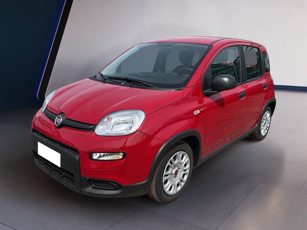 Fiat Panda usata a Torino (2)