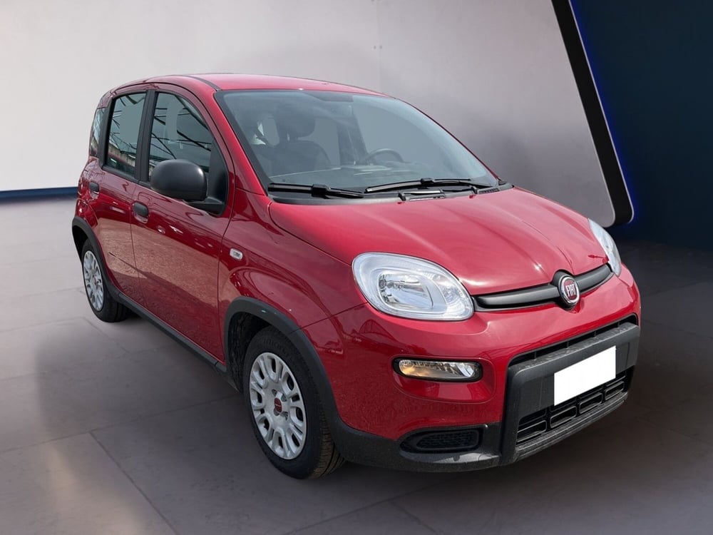 Fiat Panda usata a Torino (3)