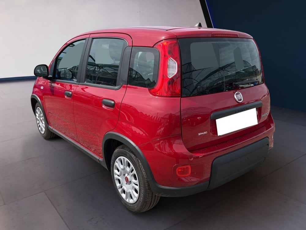 Fiat Panda usata a Torino (5)