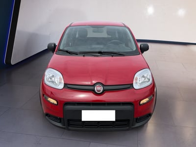 Fiat Panda 1.0 firefly hybrid s&amp;s 70cv 5p.ti del 2024 usata a Torino
