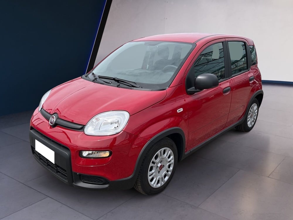 Fiat Panda usata a Torino (2)