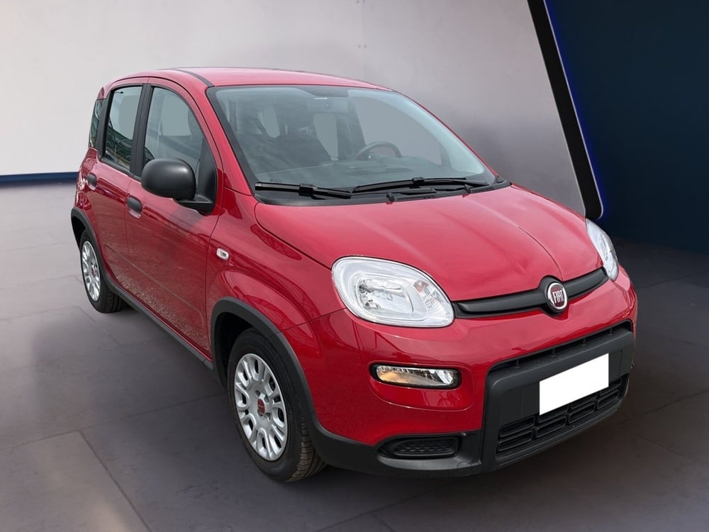 Fiat Panda usata a Torino (3)