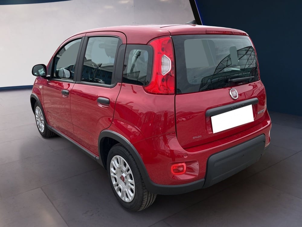 Fiat Panda usata a Torino (5)
