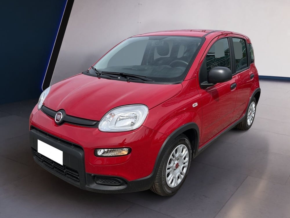 Fiat Panda usata a Torino (2)