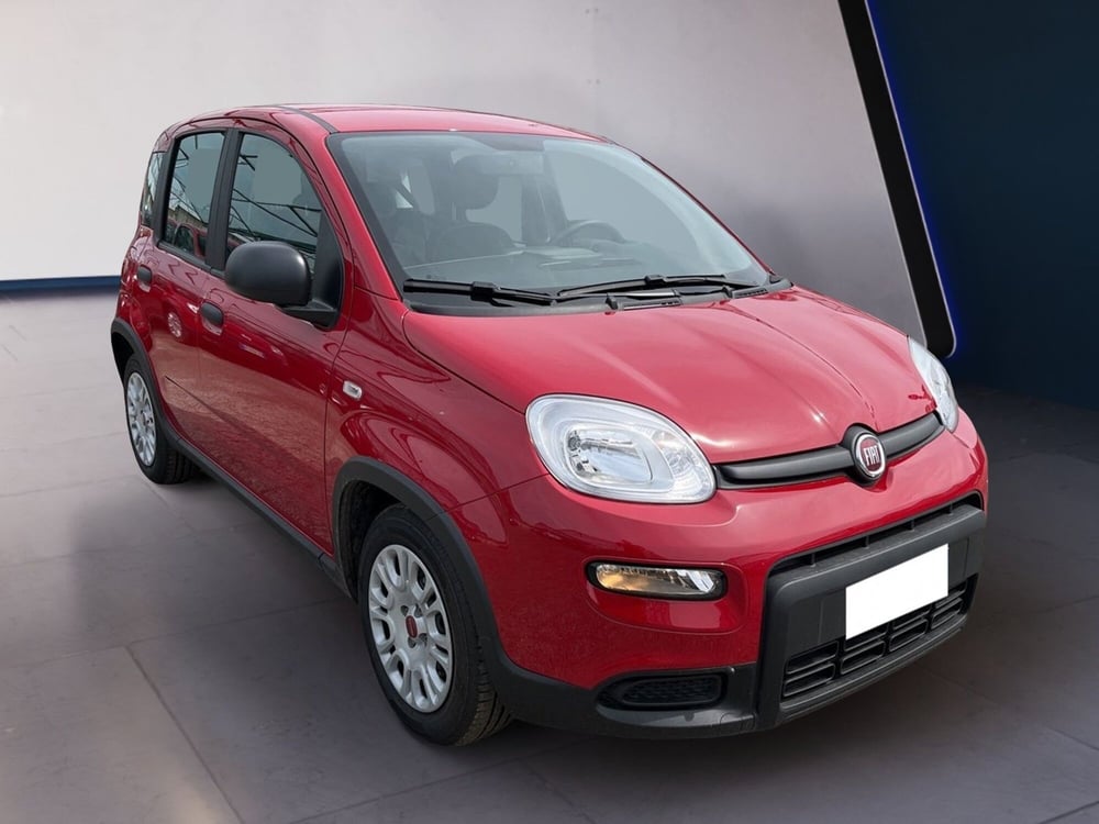 Fiat Panda usata a Torino (3)