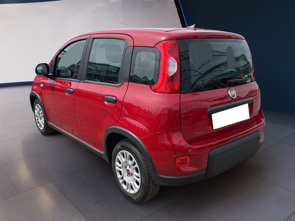 Fiat Panda usata a Torino (5)