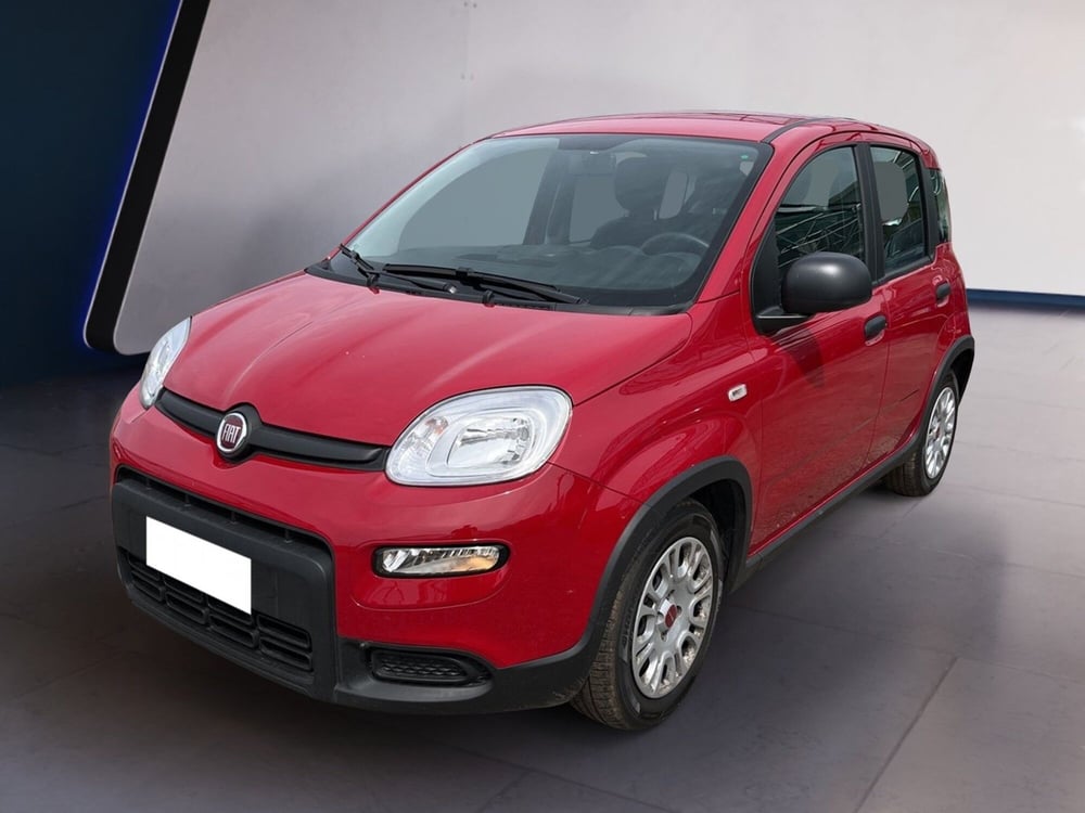 Fiat Panda usata a Torino (2)