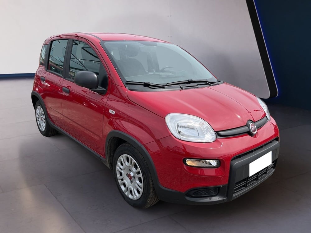 Fiat Panda usata a Torino (3)