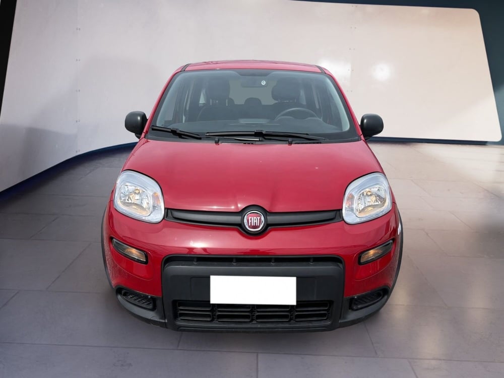 Fiat Panda usata a Torino