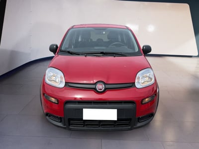 Fiat Panda 1.0 firefly hybrid s&amp;s 70cv 5p.ti del 2024 usata a Torino