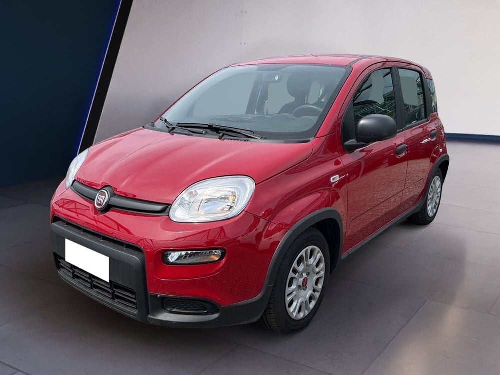 Fiat Panda usata a Torino (2)