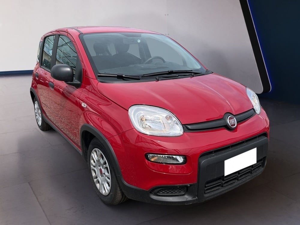 Fiat Panda usata a Torino (3)