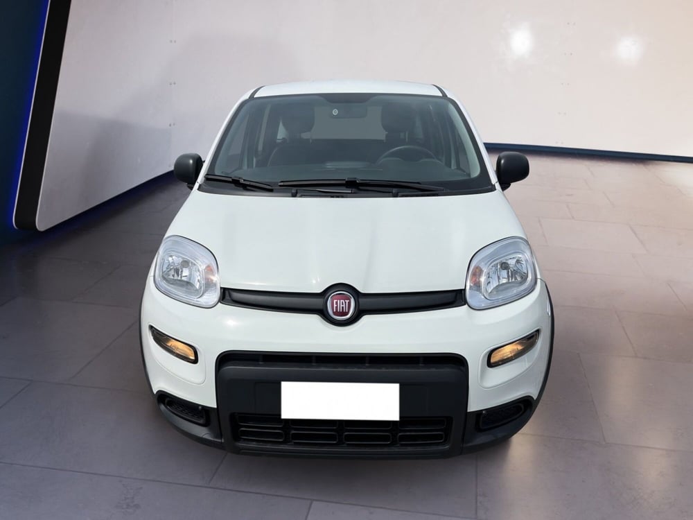 Fiat Panda usata a Torino
