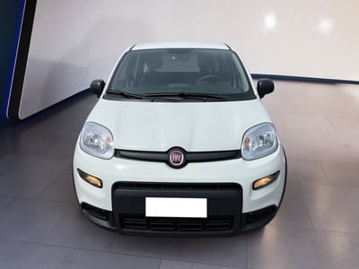 Fiat Panda 1.0 firefly hybrid s&amp;s 70cv 5p.ti del 2024 usata a Torino