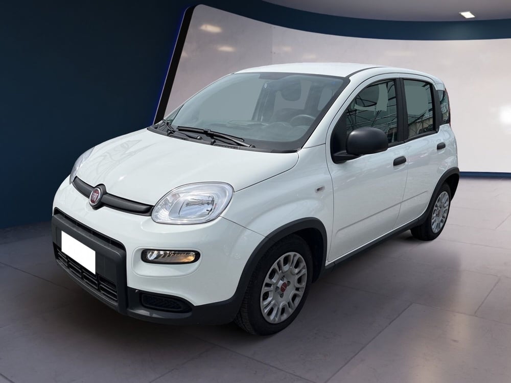 Fiat Panda usata a Torino (2)