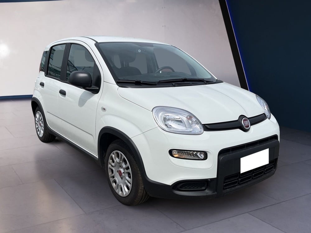 Fiat Panda usata a Torino (3)