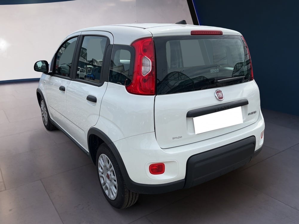 Fiat Panda usata a Torino (5)