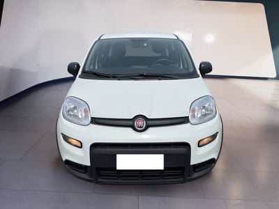 Fiat Panda 1.0 firefly hybrid s&amp;s 70cv 5p.ti del 2024 usata a Torino
