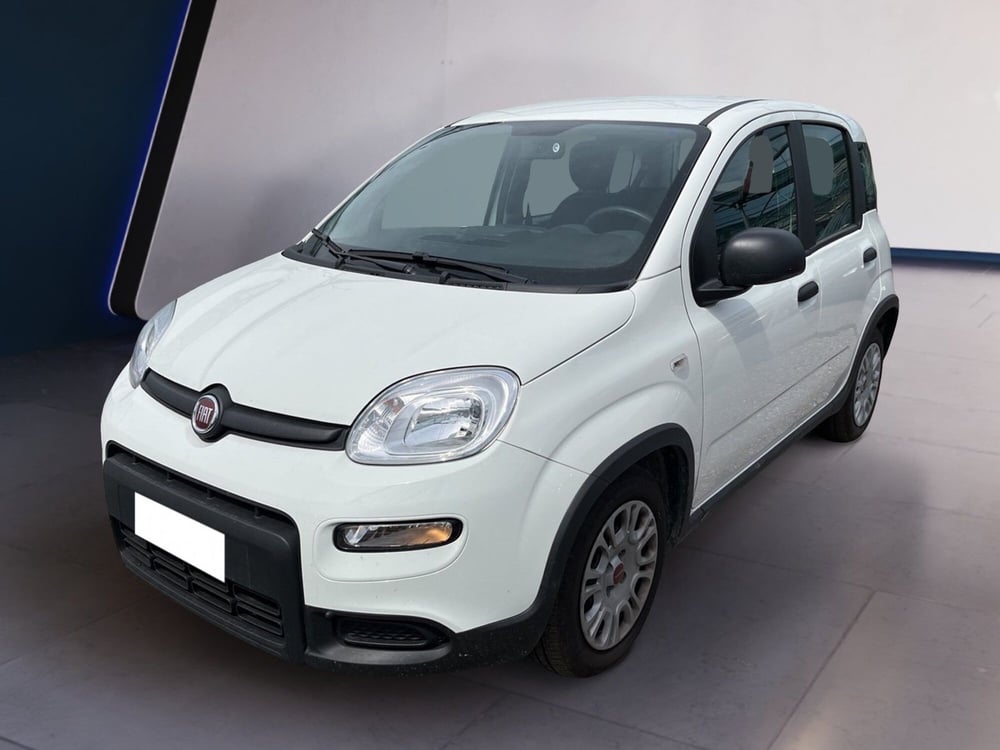 Fiat Panda usata a Torino (2)