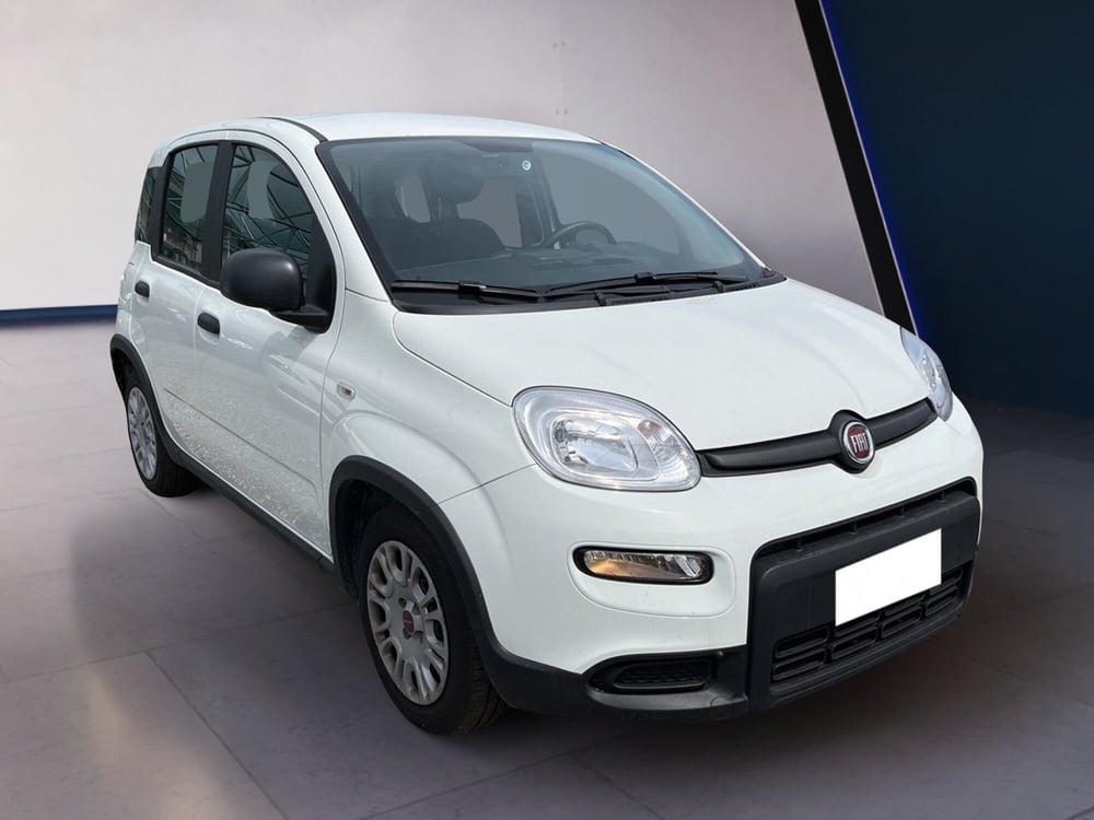 Fiat Panda usata a Torino (3)