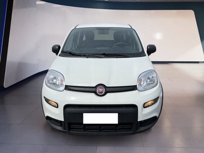 Fiat Panda 1.0 firefly hybrid s&amp;s 70cv 5p.ti del 2024 usata a Torino