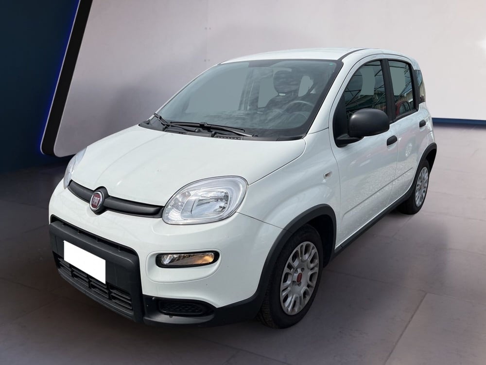 Fiat Panda usata a Torino (2)