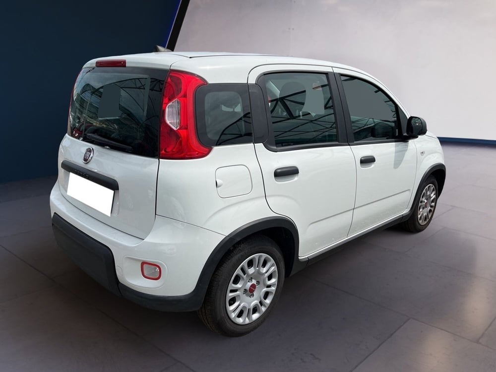 Fiat Panda usata a Torino (4)
