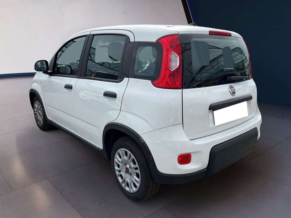 Fiat Panda usata a Torino (5)