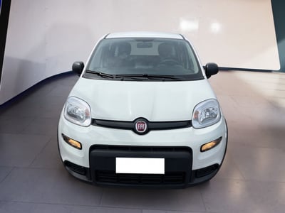 Fiat Panda 1.0 firefly hybrid s&amp;s 70cv 5p.ti del 2024 usata a Torino