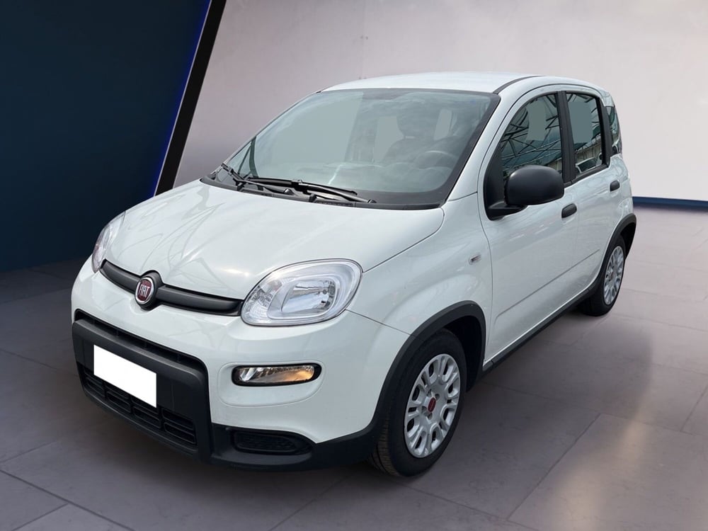 Fiat Panda usata a Torino (2)