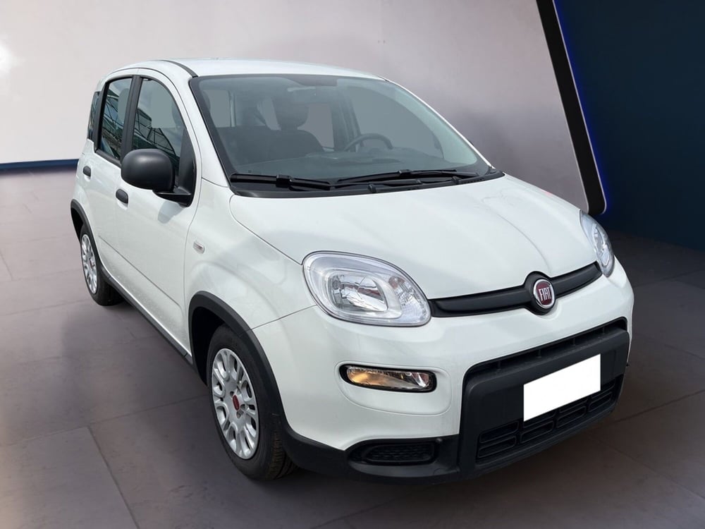 Fiat Panda usata a Torino (3)