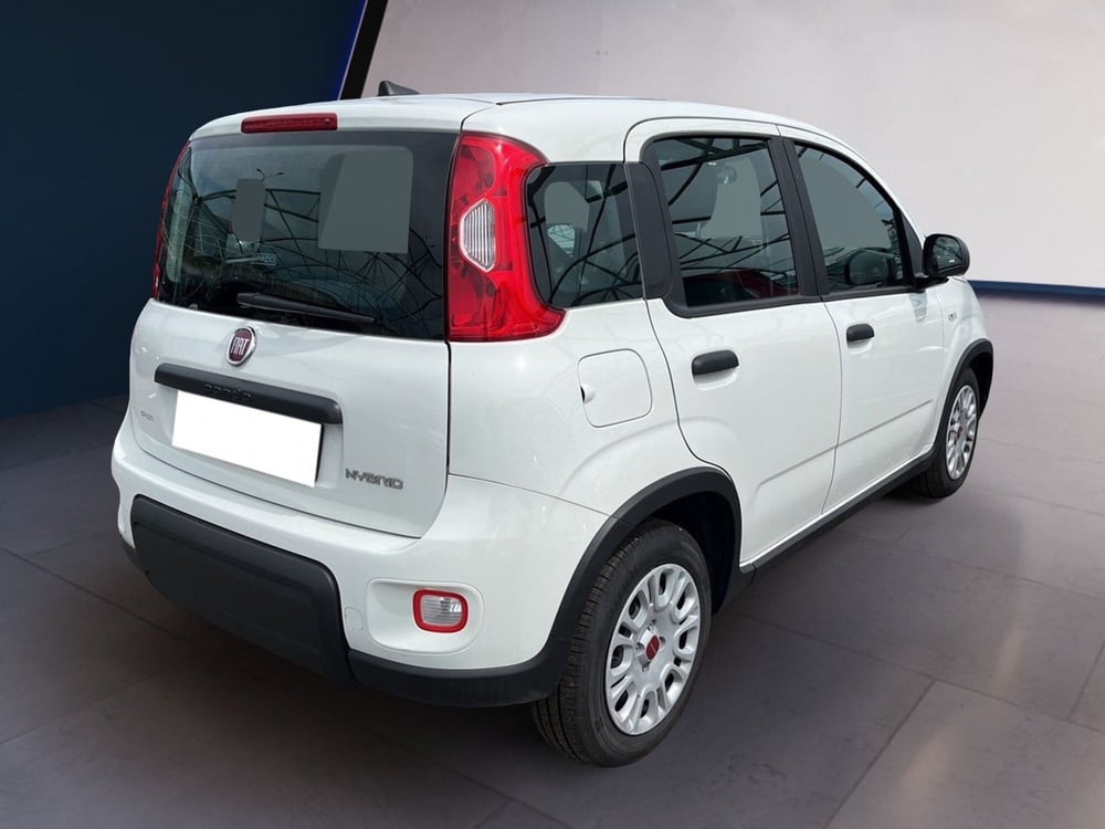 Fiat Panda usata a Torino (4)
