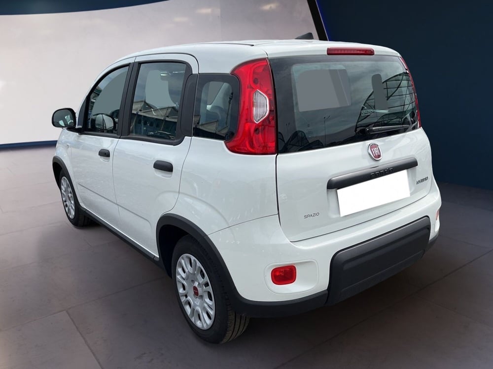 Fiat Panda usata a Torino (5)