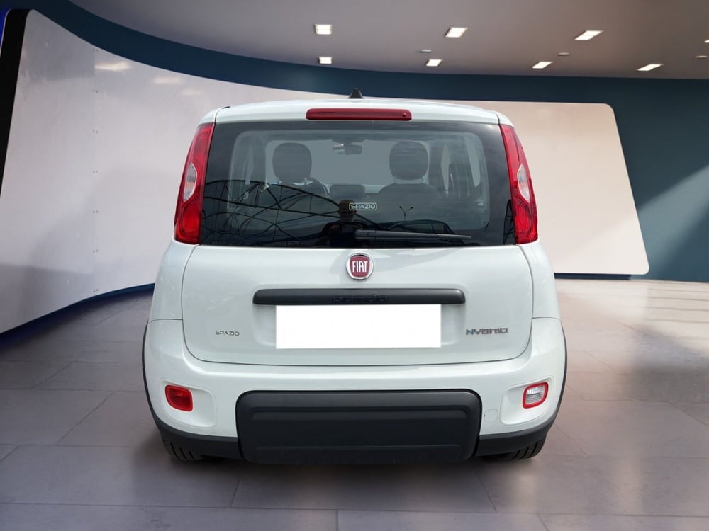 Fiat Panda usata a Torino (6)