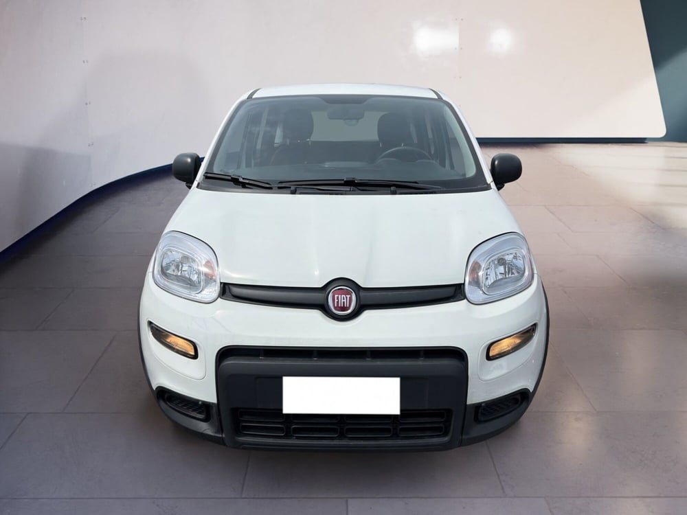 Fiat Panda usata a Torino