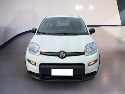 Fiat Panda 1.0 firefly hybrid s&amp;s 70cv 5p.ti del 2024 usata a Torino