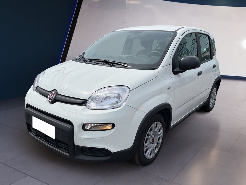 Fiat Panda usata a Torino (2)