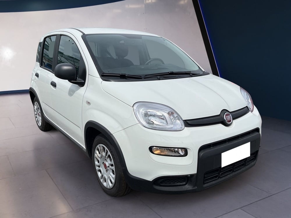 Fiat Panda usata a Torino (3)