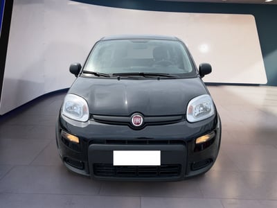 Fiat Panda 1.0 firefly hybrid s&amp;s 70cv 5p.ti del 2024 usata a Torino
