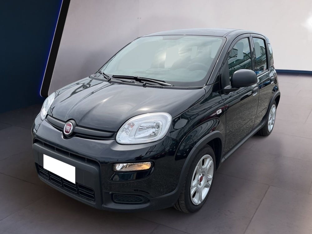Fiat Panda usata a Torino (2)