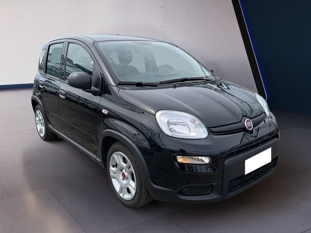 Fiat Panda usata a Torino (3)