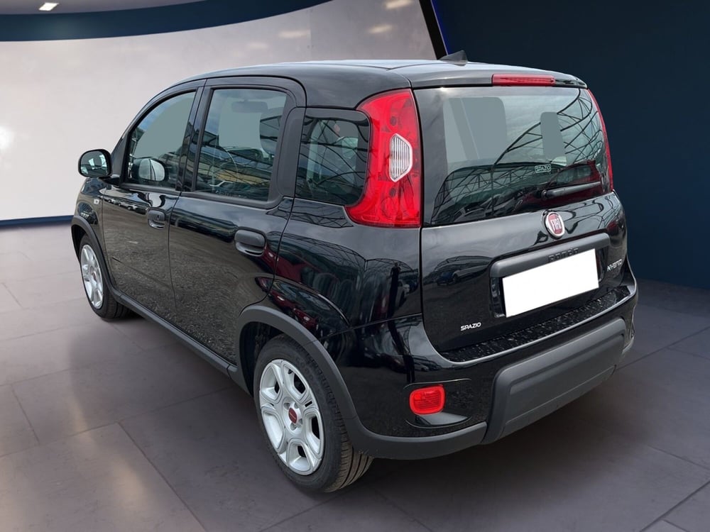 Fiat Panda usata a Torino (5)