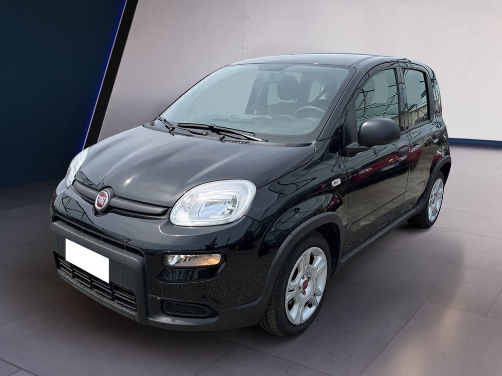 Fiat Panda nuova a Torino (2)