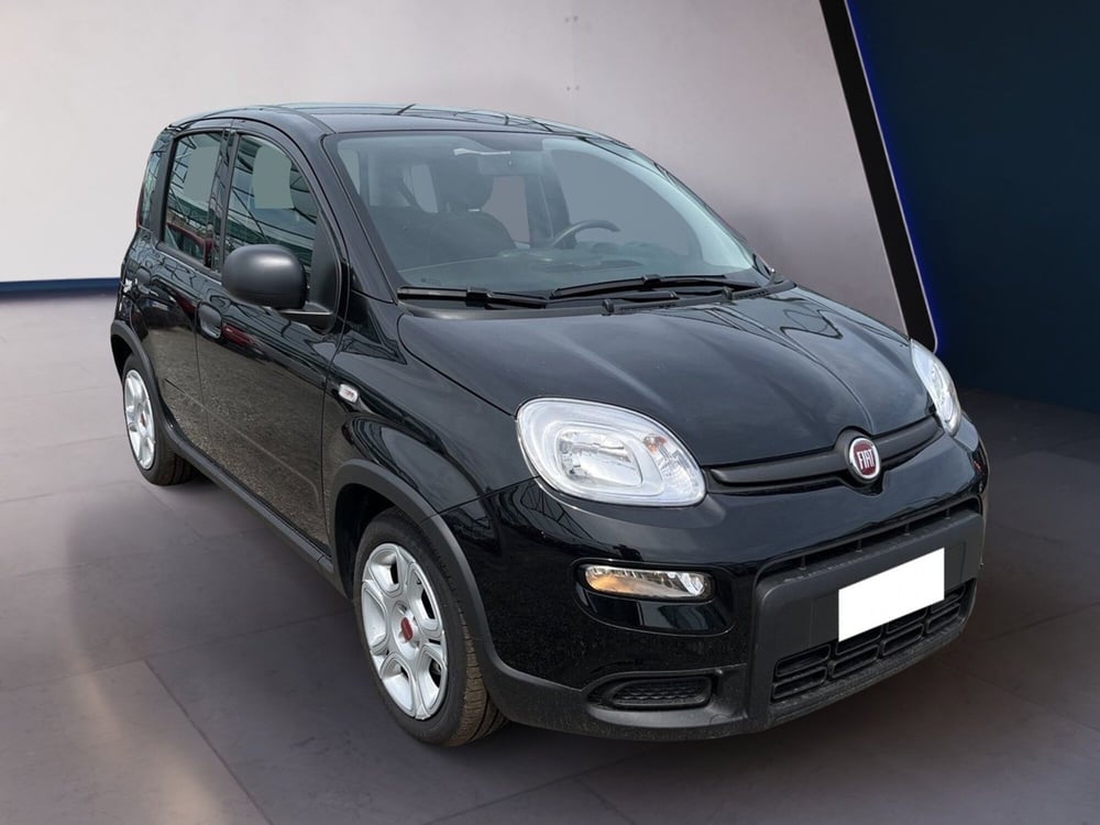 Fiat Panda nuova a Torino (3)
