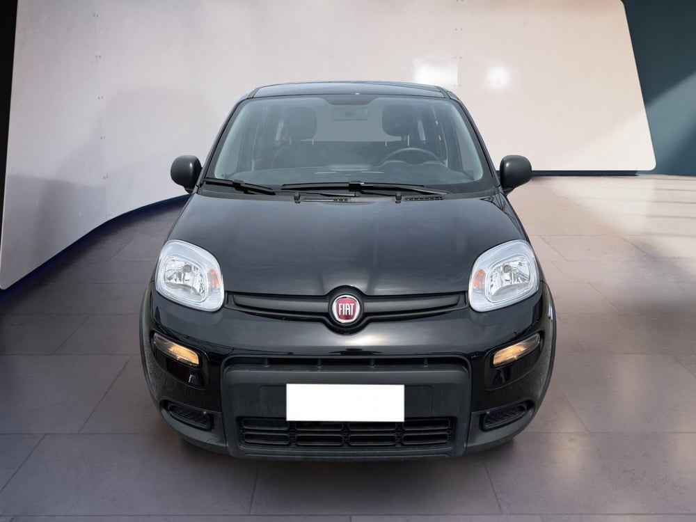 Fiat Panda usata a Torino