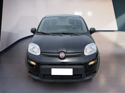 Fiat Panda 1.0 firefly hybrid s&amp;s 70cv 5p.ti del 2024 usata a Torino
