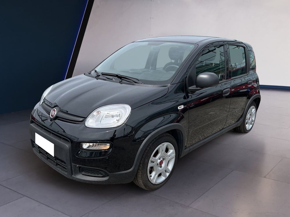 Fiat Panda usata a Torino (2)
